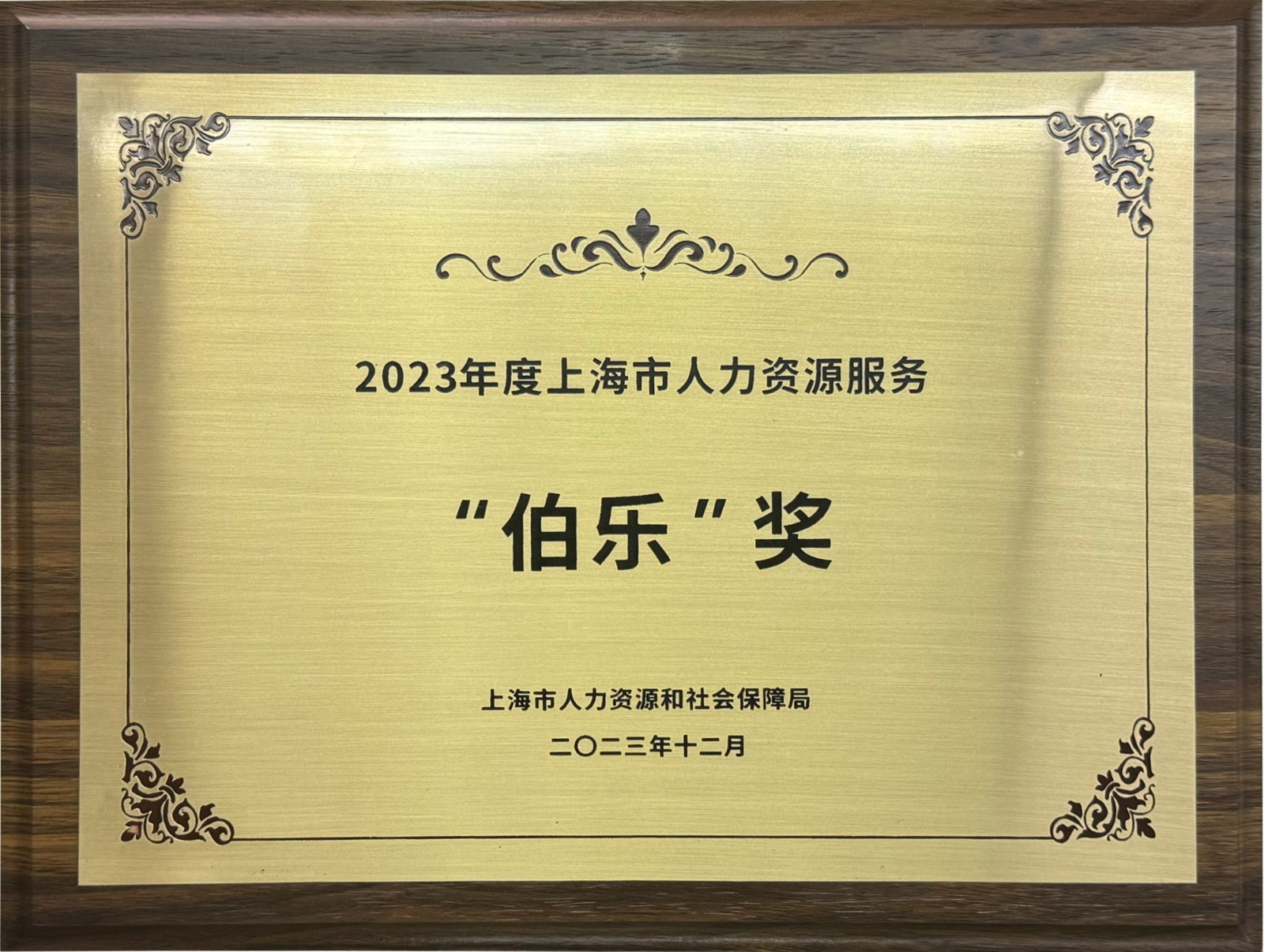 1705051218223593.jpg 1705051218223593.jpg