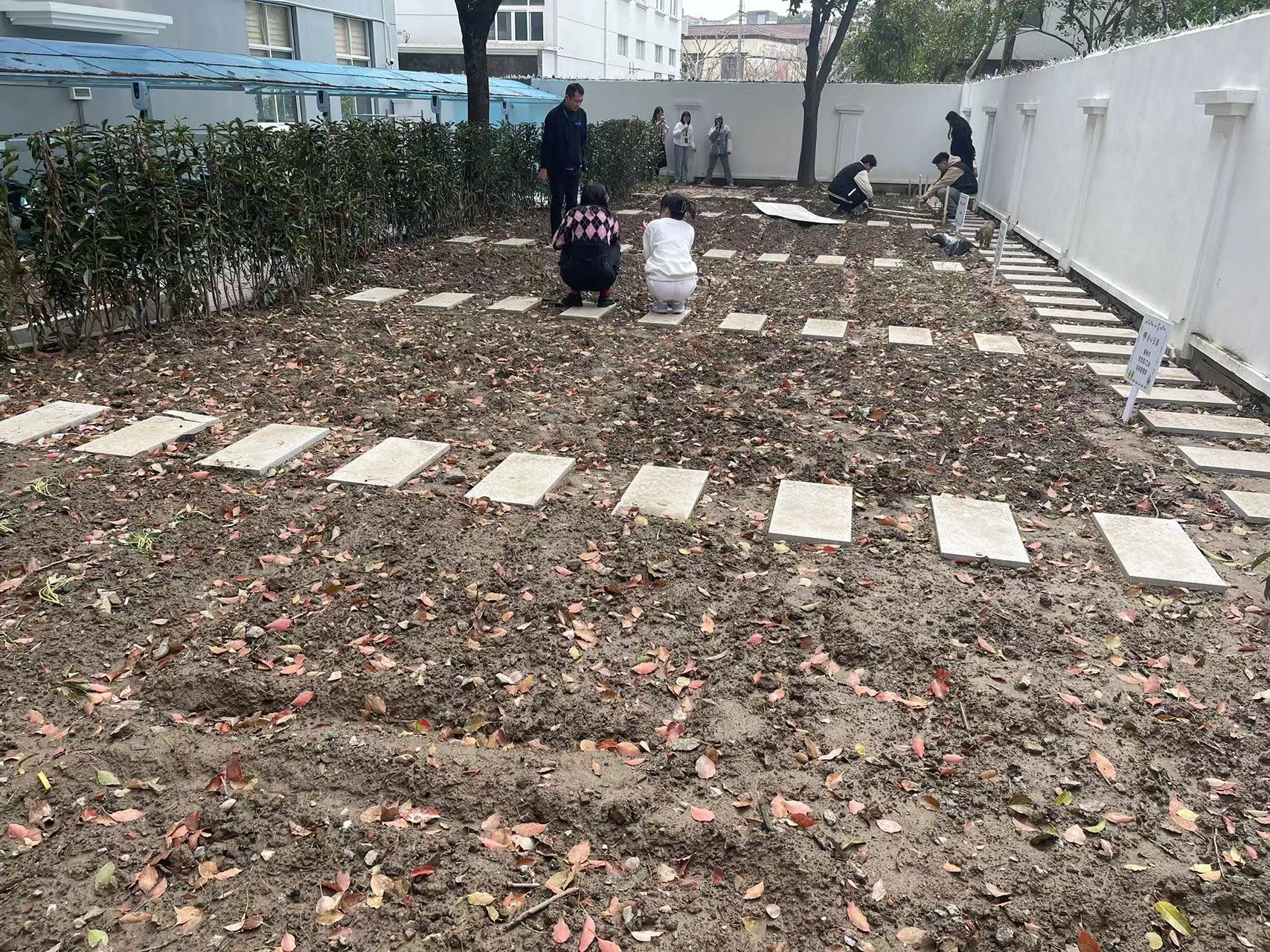 1711952460409232.jpg 1711952460409232.jpg