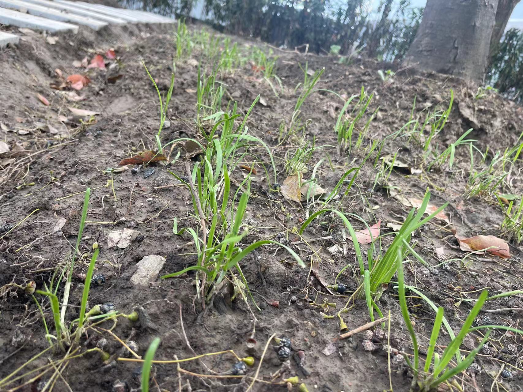 1711952461981124.jpg 1711952461981124.jpg